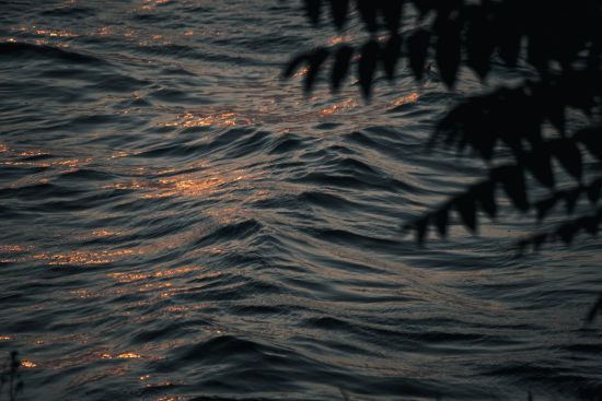 У Польщі батьки пожертвували собою, щоб врятувати 4-річну дівчинку: дорослі безслідно зникли