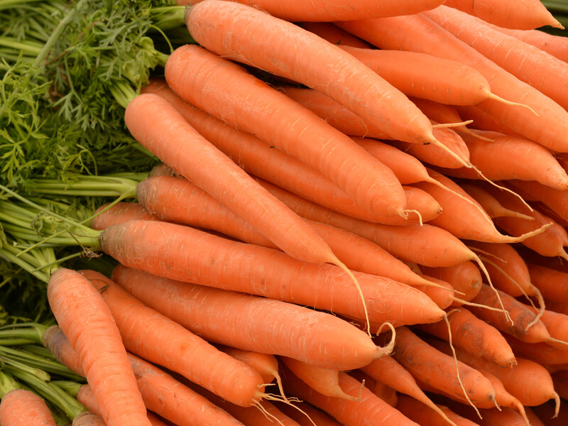 "Такої солодкої моркви у вас точно ще не було". Городники розповіли про секретне підживлення, яким треба полити моркву на початку серпня