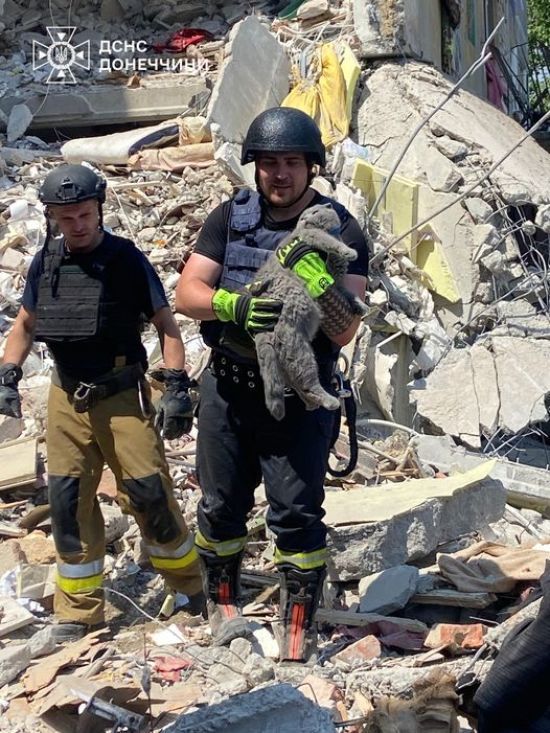 Врятував життя власниці під час ракетної атаки: на Донеччині з-під завалів дістали кота