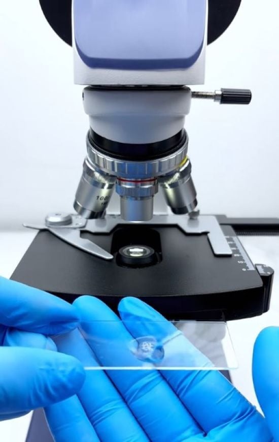 Енергетик під мікроскоп: відео спричинило переполох у Мережі