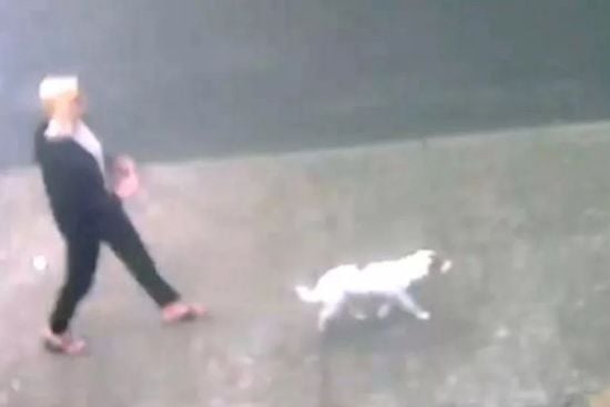 Жінка спіймала "огидну" сусідку на гарячому, встановивши камеру: що та робила (фото)