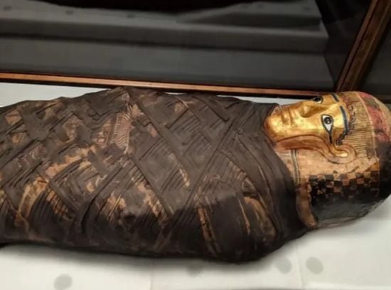 Вчені відтворили загадкове обличчя мумії "позолоченої леді" через 1500 років після її смерті – фото