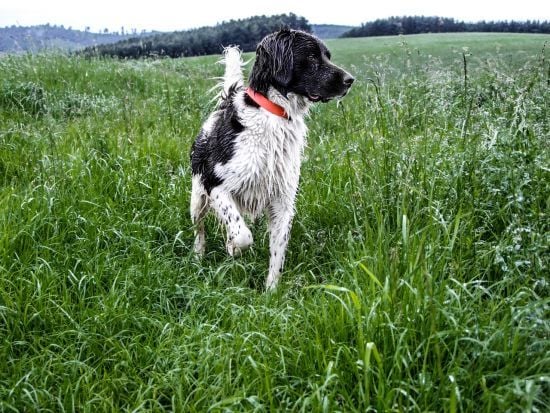 До України ненадовго прийшло похолодання: де і коли будуть дощі