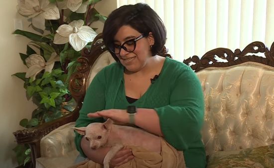 Зниклий собака возз'єднався з господаркою через 9 років – фото