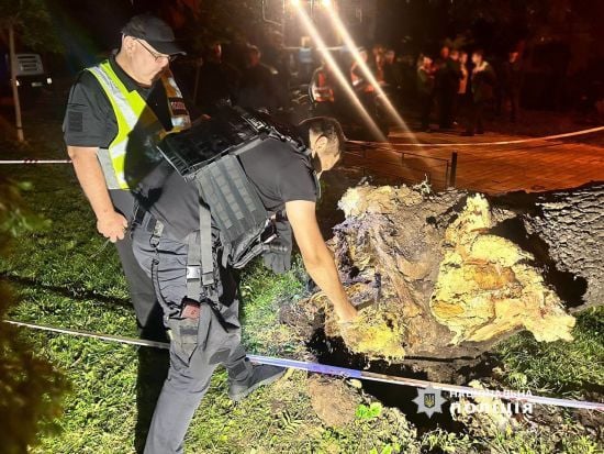 Внаслідок падіння дерева у парку Шевченка загинула жінка – поліція Києва