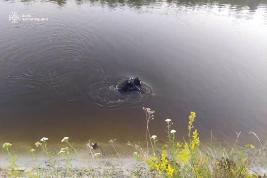 Чергова трагедія на воді: на Чернігівщині у річці потонув 2-річний хлопчик