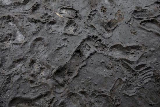 Унікальна гробниця бронзового віку: археологи приголомшили знахідкою ​​на англійських болотах (фото)