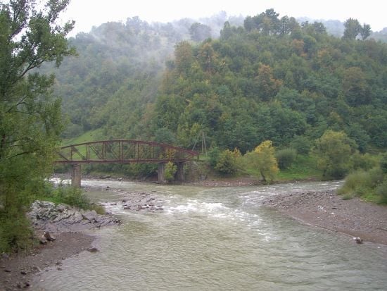 Не ухилянт, а умилянт: український кабан переплив річку Тису —  кумедне відео