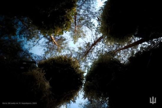 Що відомо про ситуацію на фронті та втрати ворога: звіт Генштабу