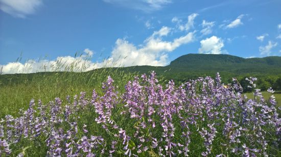 Спека повертається: прогноз погоди в Україні на 26 серпня