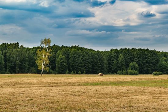 Низку областей накриють дощі: як зміниться погода сьогодні, 23 серпня