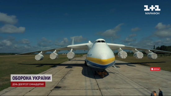 Хлопець освідчився коханій на літаку "Мрія": як через війну змінилось життя закоханих