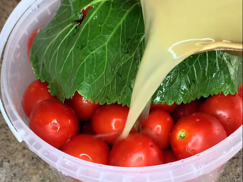 "Покладіть на дно відерця цю зелень – і тоді квашені помідори вийдуть як газовані". Відео-рецепт