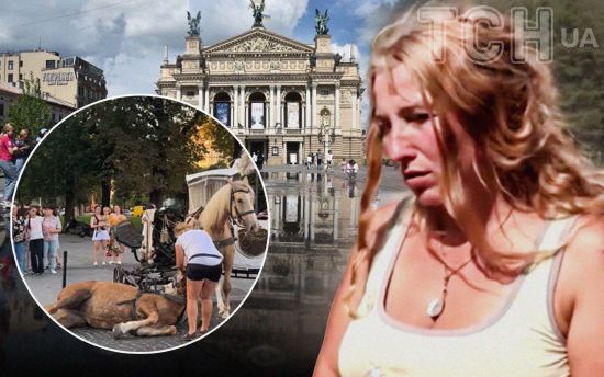 Скандал з кобилою у Львові: чи можуть коні возити туристів - експерти розповіли