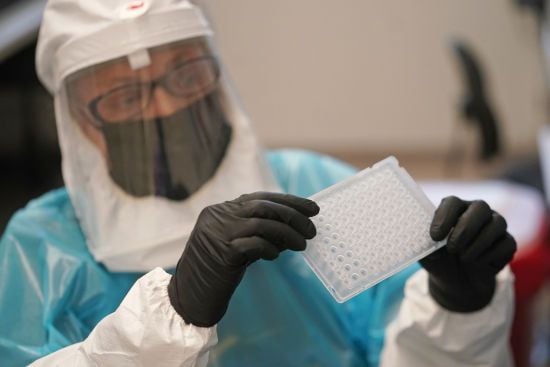 Мавпяча віспа невпинно розповсюджується Африкою: скільки людей захворіли