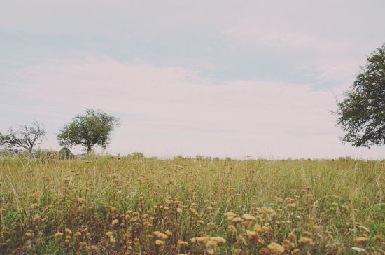 Яка буде погода на День Незалежності: прогноз синоптикині 