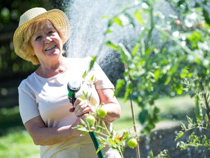 Проведіть обприскування рослин саме в цей час – і отримаєте максимальний результат