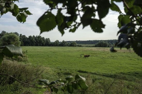 В одній з областей обмежили пересування громадян: подробиці