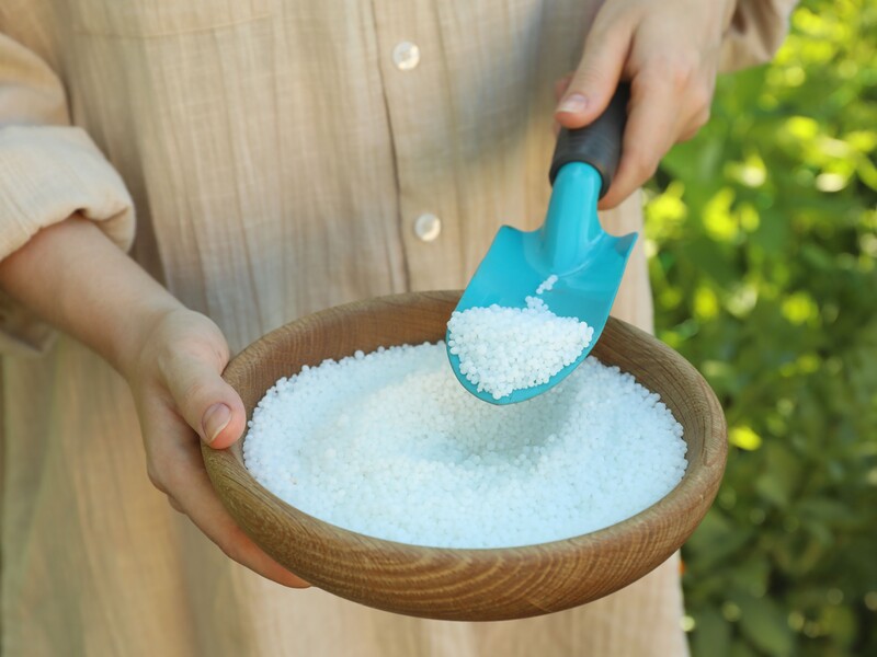 "Щоб винищити мурах, розсипте кухонну сіль". Експерт розповів шість секретів використання кухонної солі у саду