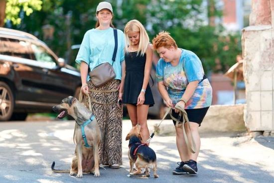 Місія: подаруйте тепло й дім тварині з прифронтової зони