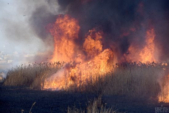 В тимчасово окупованому Скадовську прозвучали вибухи