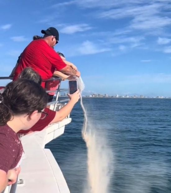 Жінка розвіювала прах дідуся в океані та "отримала від нього знак" – дивовижне відео