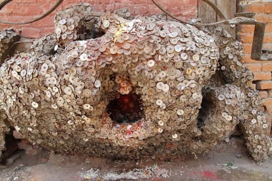 Дерево зубного болю: де розташована унікальна пам'ятка та що про неї відомо (фото)