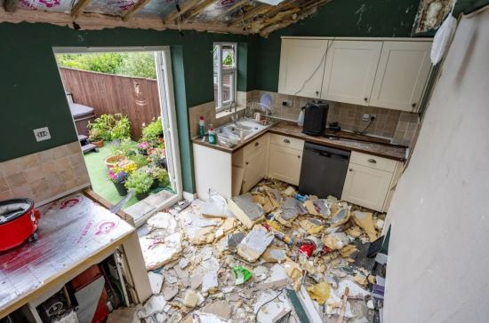 Чоловік зруйнував сімейний будинок ущент через щурів – фото