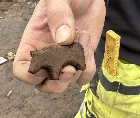 В Ісландії знайшли загадкову фігурку епохи вікінгів: вчені сперечаються, що це