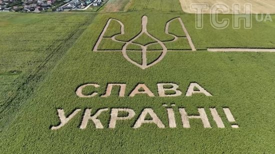 Аграрії Київщини “виростили” гігантський тризуб на полі соняхів