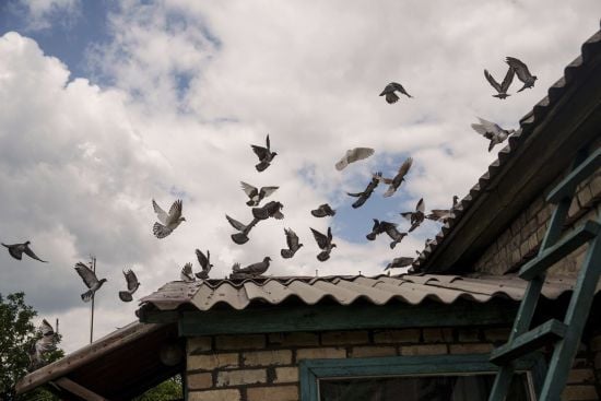 "Люди поховані на городах та в абрикосових садках": волонтерка описала складну ситуацію на Донеччині