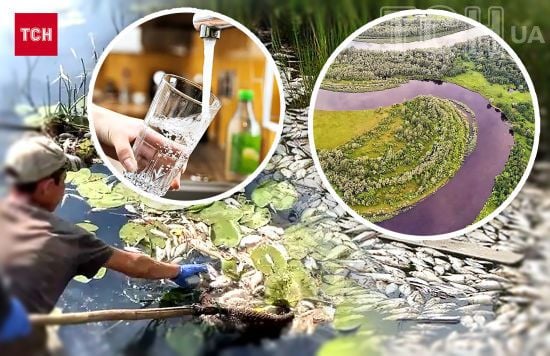 Отруєння Десни та Сейму: хто винен, яку речовину скинули у річки та чи є загроза для киян