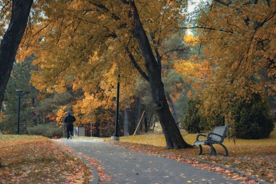 Дощі та перший сніг: якою буде погода в останній день вересня