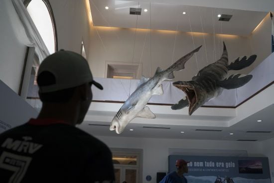 Вчені виявили останки морського чудовиська з унікальними зубами