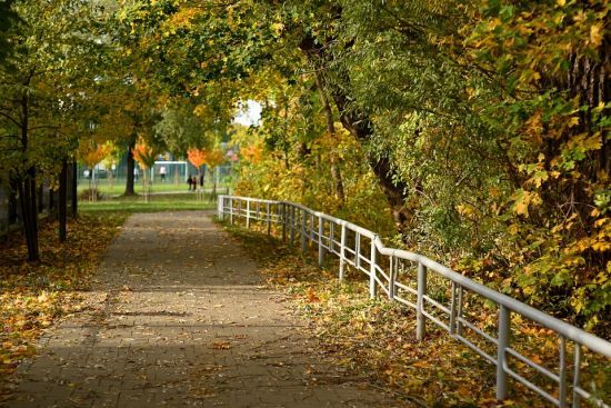 Якою буде в Україні погода у вересні: прогноз "Укргідрометцентру"