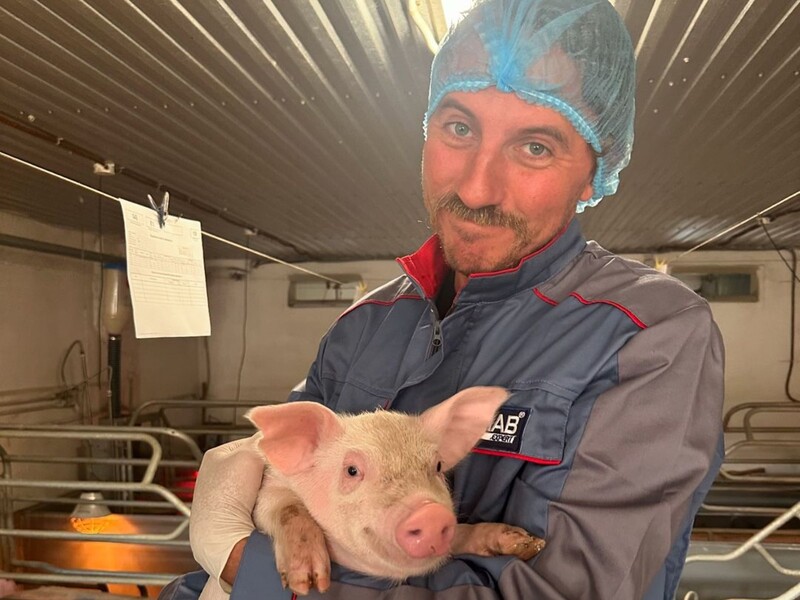 "Хочеться всього натурального". Клопотенко на свинофермі влаштував фотосесію з поросям, яке верещало. Відео "Хочеться всього натурального". Клопотенко на свинофермі влаштував фотосесію з поросям, яке верещало. Відео