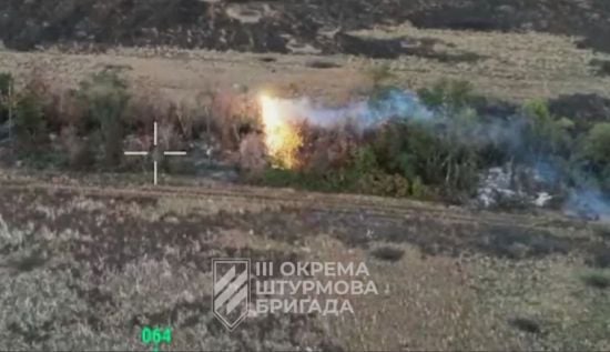 Смертельна новинка: 3-тя штурмова показала, як дрон-дракон випалює цілі посадки окупантів (відео)