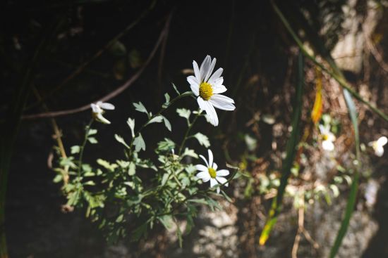 День ангела 18 вересня: кого та як вітати з іменинами