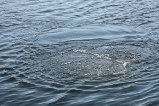 У Хмельницькому в озері потонули донька та її 45-річна мати