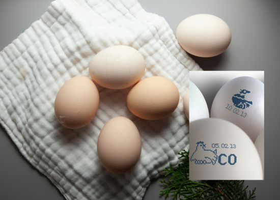 Яку інформацію можна дізнатися з символів на шкаралупі яйця в магазині