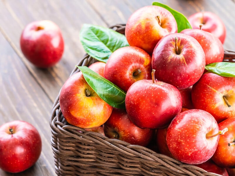 Якщо побачили це – яблука в саду час збирати Якщо побачили це – яблука в саду час збирати