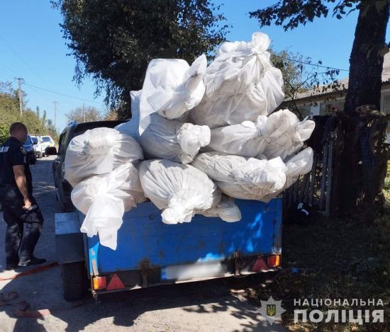 Вирощував коноплі для риболовлі: на Житомирщині затримали 68-річного чоловіка