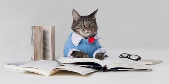 8 звичок, які на думку психологів, вказують на низький рівень інтелекту людини