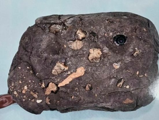 Чоловік встановив камеру у фальшивому камені та зняв 1000 жінок, які купалися в гарячих джерелах