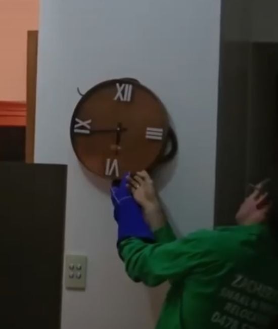 Сім'я виявила небезпечну знахідку за настінним годинником: що там було (відео)