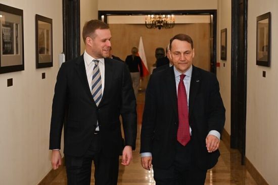 Міністри закордонних справ Литви й Польщі завітали до Києва