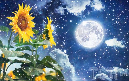 Місячне затемнення 18 вересня 2024 року: популярні забобони та прикмети