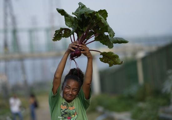 Чому буряк важливо додати до раціону кожної людини
