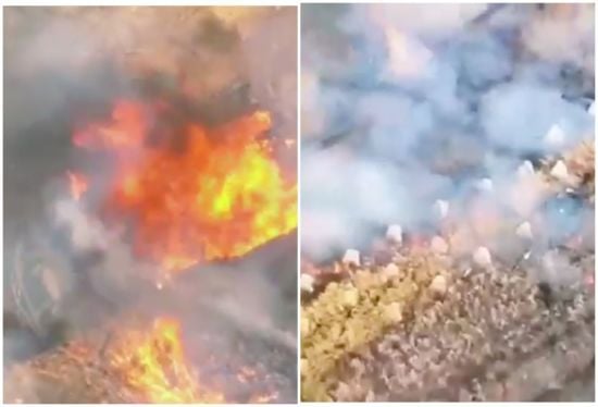 Російські танки потрапили у власну пастку під Курськом: деталі від Forbes