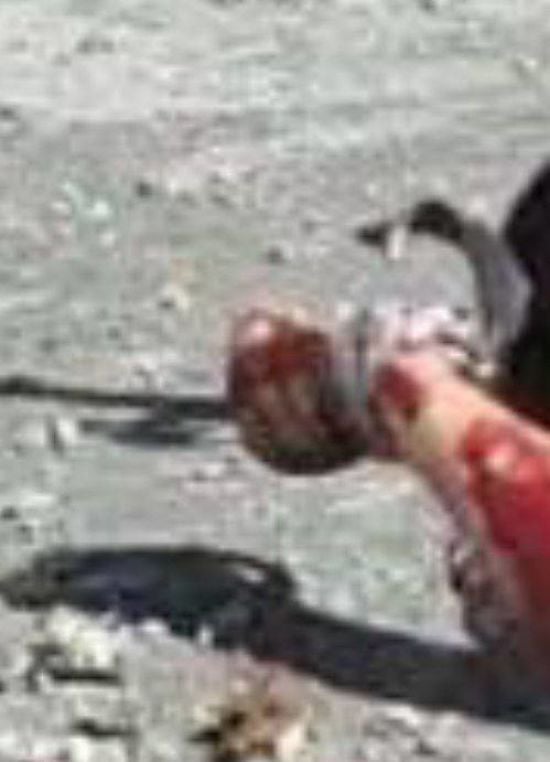 Страта беззбройного військового ЗСУ мечем: розпочато досудове розслідування